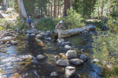 In higher water, these stones would be submerged.