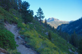 Mammoth Mountain is in the background.