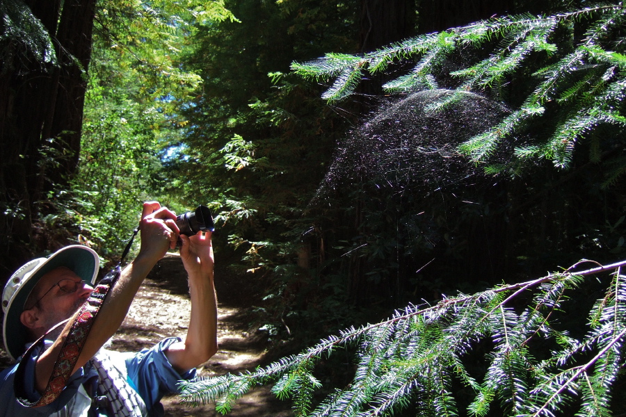 Frank tries for the perfect photo of the spider in the web.