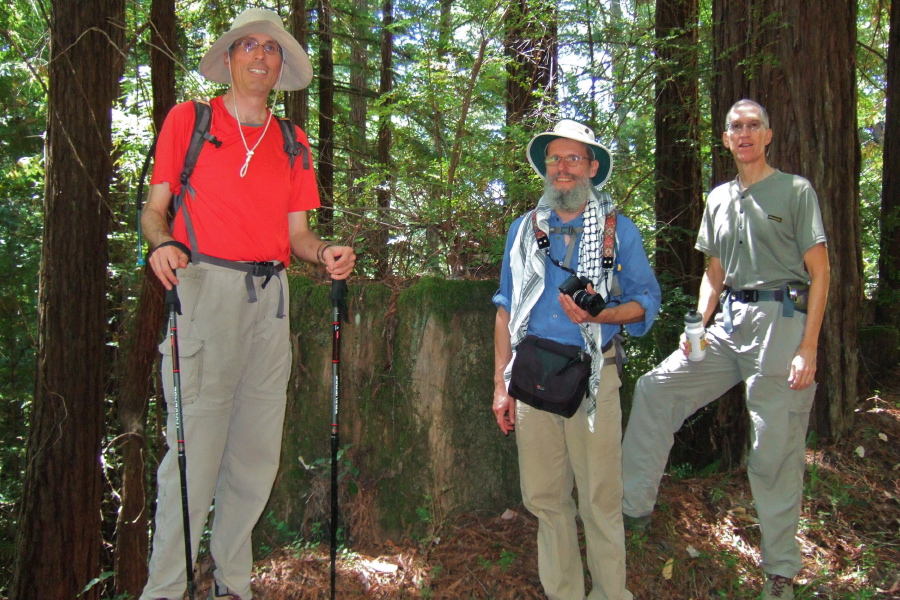 Bill, Frank, and Steve in front of an old stump on Lawrence Creek Trail