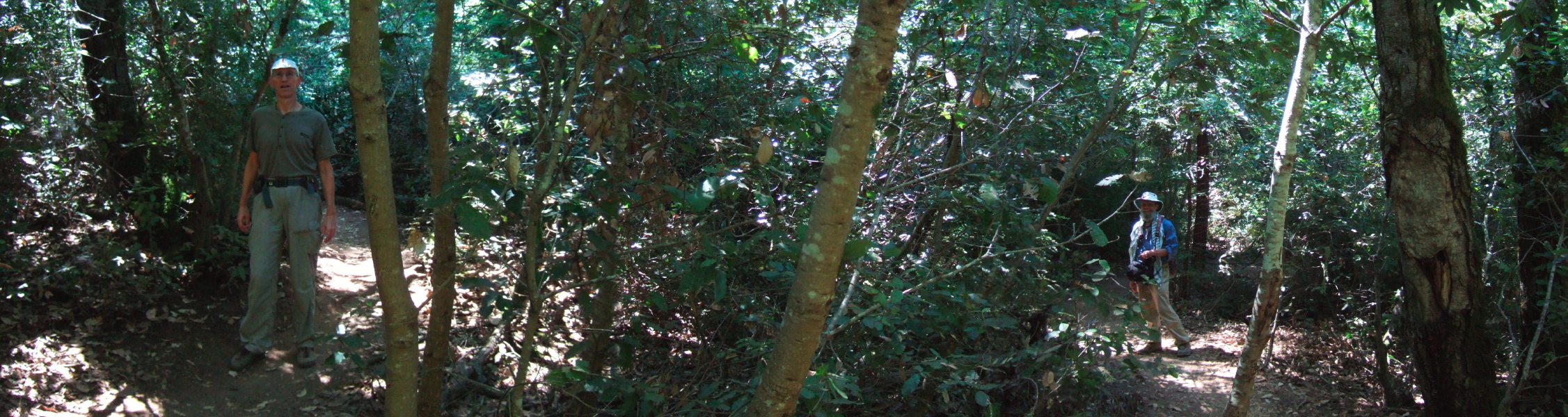 The Blue Blossom Trail doubles back on itself.