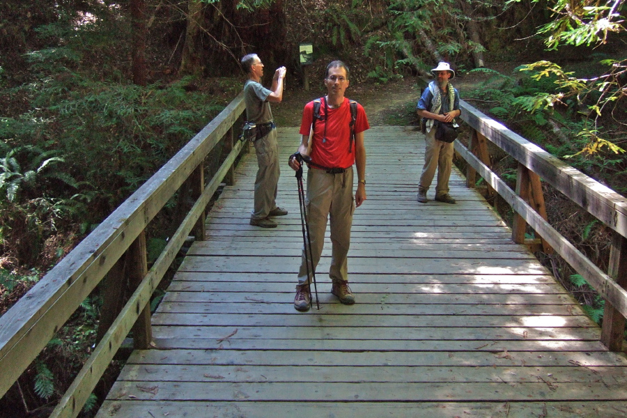 On the bridge over Lawrence Creek