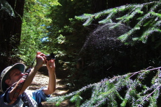 Frank tries for the perfect photo of the spider in the web.