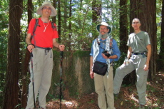 Bill, Frank, and Steve in front of an old stump on Lawrence Creek Trail