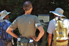 Frank, Steve, and David read a sign about fish in the streams.