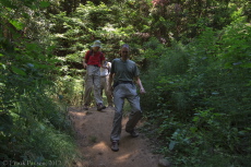 Steve takes care not to break any bones on a short, steep section.
