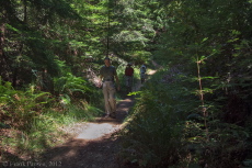Steve, Bill, and David descend the Virginia Mill Trail.