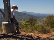 Bill enjoys sitting on the tower piling, the only