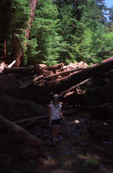 Stella at another stream crossing