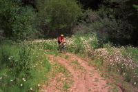 John rides his Bike Friday up the trail.