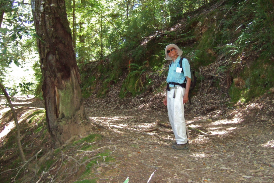 Junction of El Corte de Madera Creek Trail and North Leaf Trail.