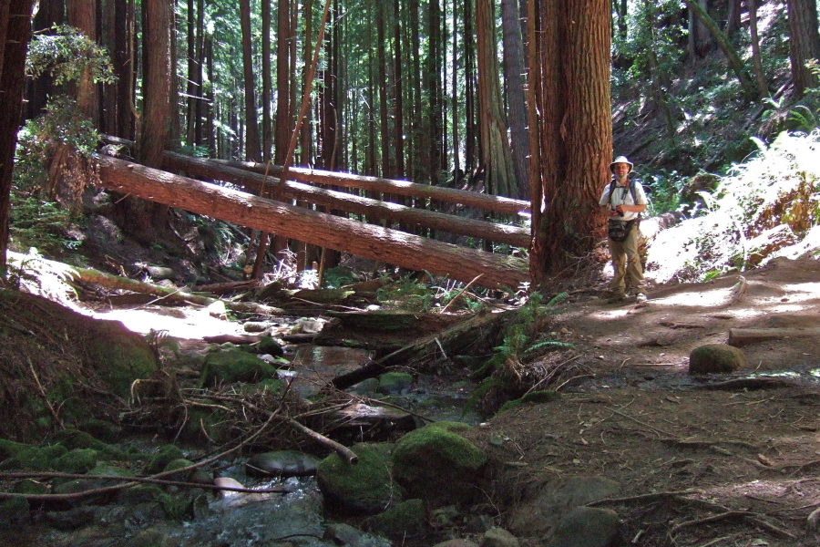 Frank at the crossing of El Corte de Madera Creek on Methuselah Trail