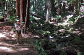 View up El Corte de Madera Creek on Methuselah Trail