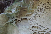 Tafoni, close-up