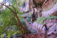On the trail to Emerald Pools.