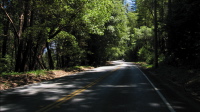 Descending Empire Grade Rd. between Alba Rd. and Pine Flat Rd. (2340ft)