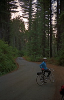 Chris descends into the Spooky Forest along Morrill Rd.