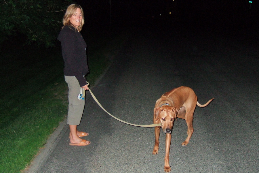 Laura walking Kumba at night.