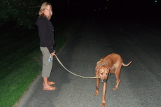 Laura walking Kumba at night.