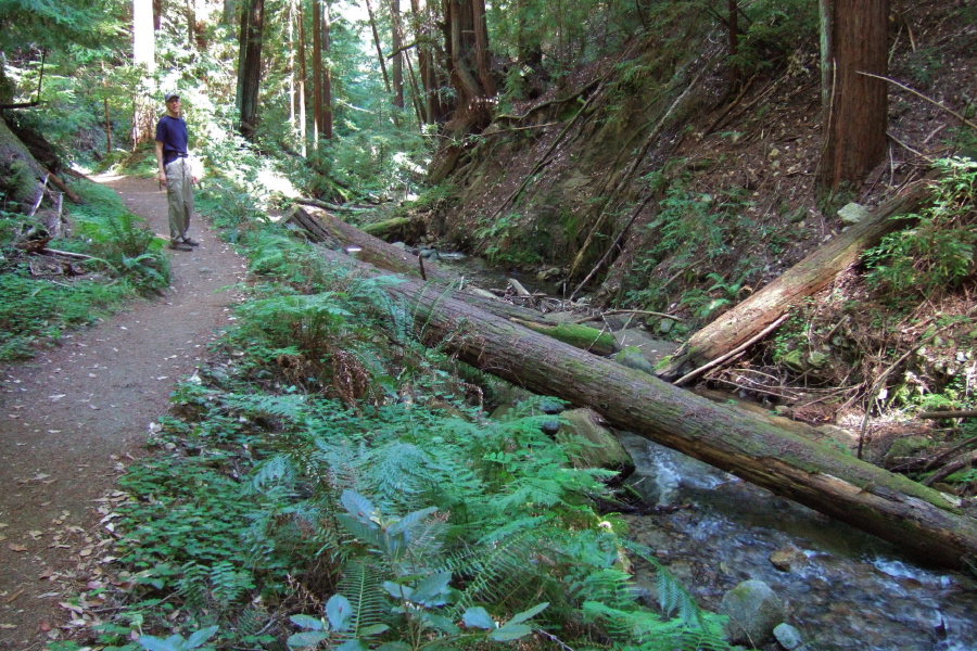 Steve pauses on the Fall Creek Trail.