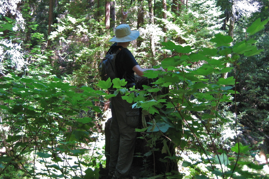 Bill delivers a rousing speech from the pulpit on the Fall Creek Trail.