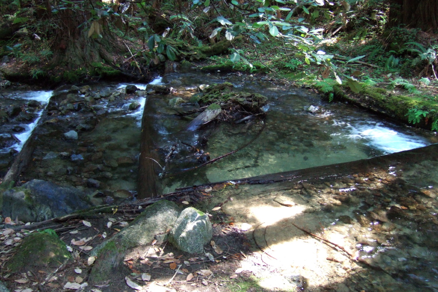 Fall Creek descends a stairway.