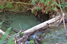 Deep swimming hole below the Barrel Mill