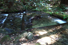Fall Creek descends a stairway.