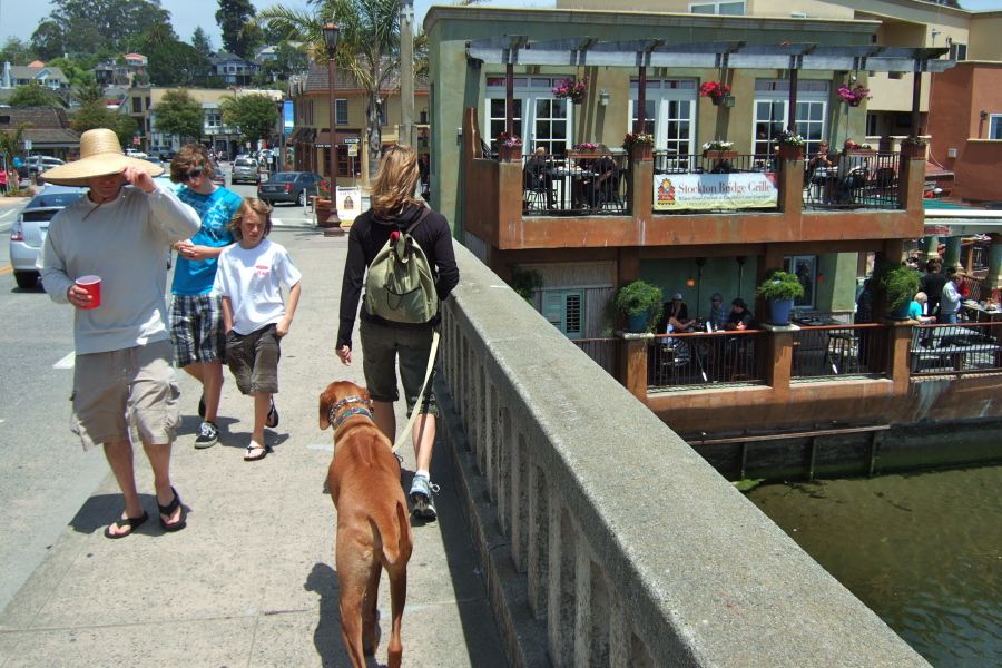 Tourists warily eye Kumba as he crosses Soquel Creek.
