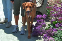Kumba looks directly at the camera.