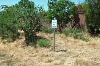 What new landscaping?