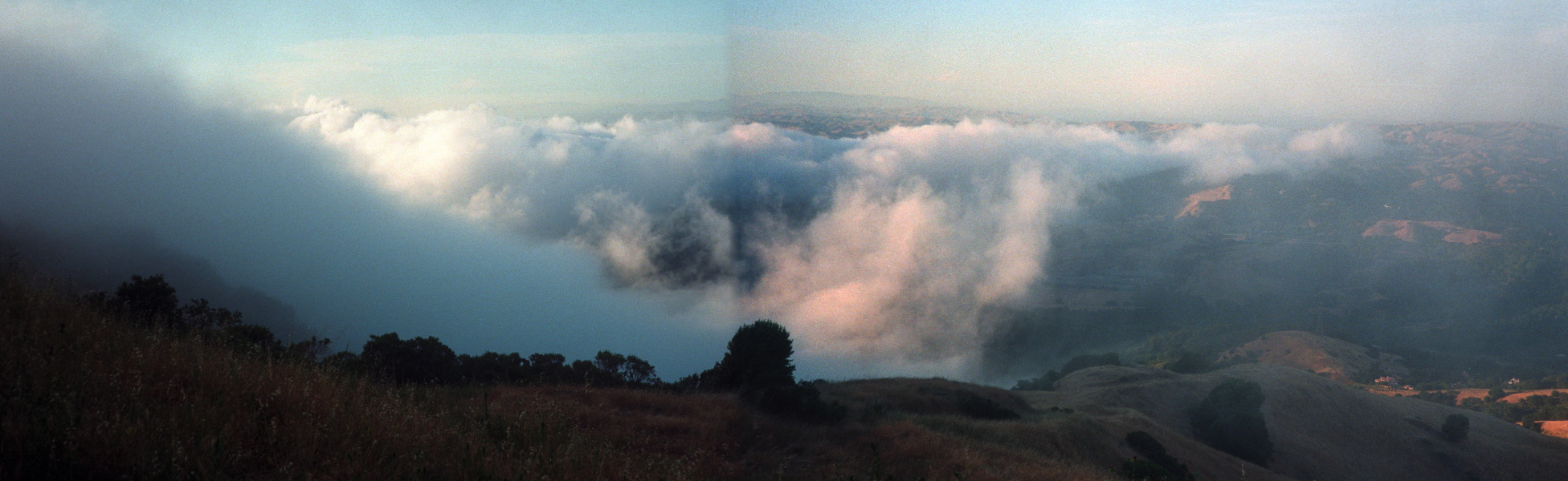 Fog Fall (1)