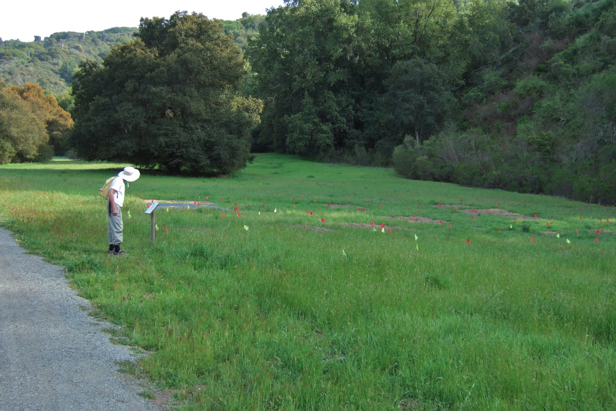 David reads the sign describing the meadow restoration in Wildhorse Valley.