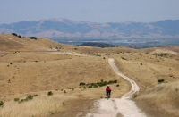 Ron descends Skyline Rd.