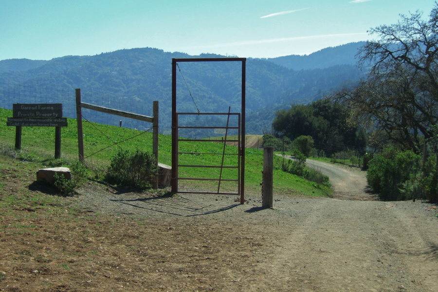The road heading down into Garrod Farms