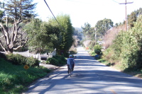 Ron Bobb climbs Carr Rd.