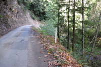 Riding east on lower Gazos Creek Rd. (160ft)