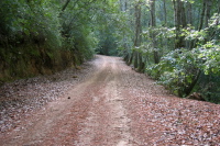 Gazos Creek Rd. climbing out of the canyon just below Sandy Point (1200ft)