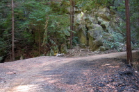 Gazos Creek Rd. near the Big Basin low point (900ft)