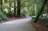 Gazos Creek Rd. at Big Basin (1020ft)