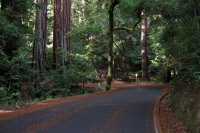 Entering Portola State Park (500ft)