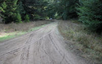 Old Haul Rd. @ Bridge Trail (470ft)