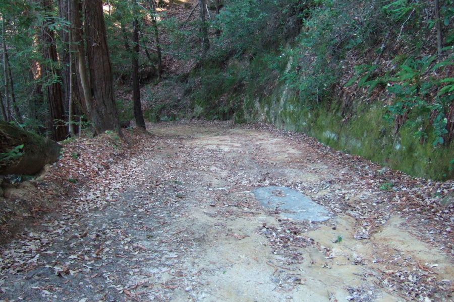 Heading steeply into the canyon.