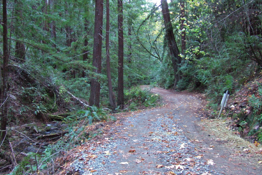 Gazos Creek Rd. runs next to the creek through the narrow canyon.