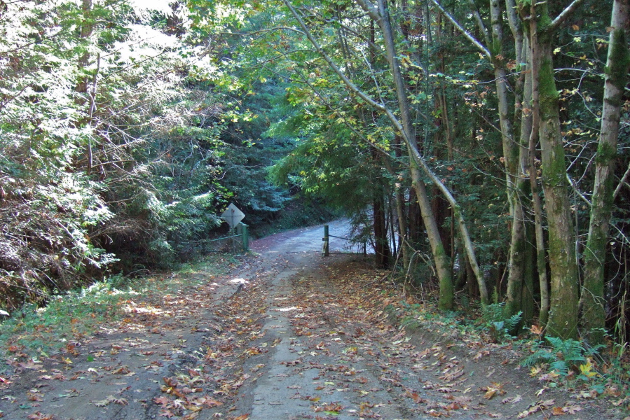 The bottom gate is open!