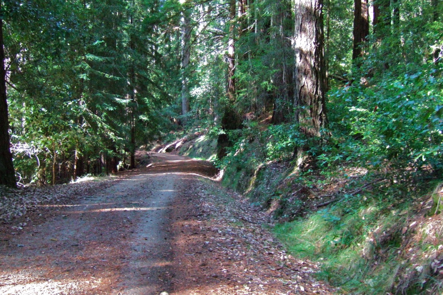 Heading west on Gazos Creek Rd. (1)