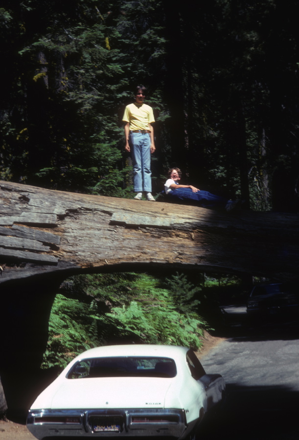 Bill and Jim McLeod