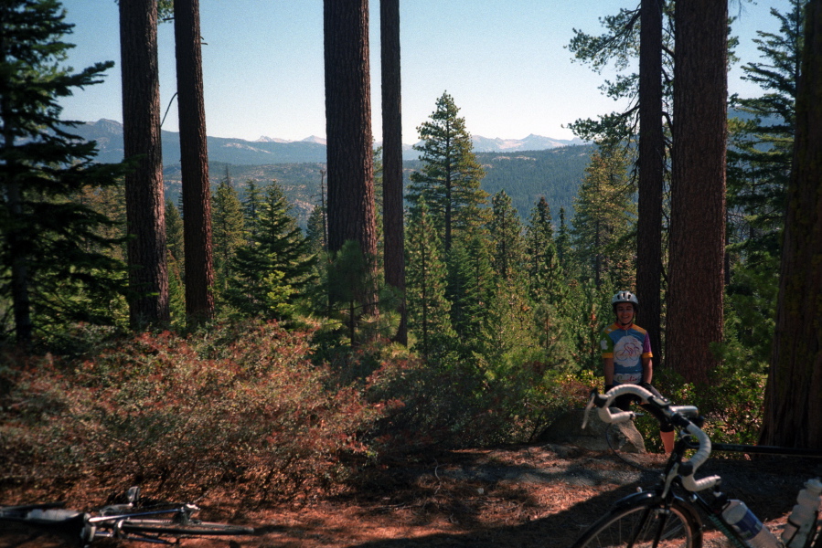 Stella at the turnaround point