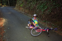 Paul meets a stray dog on Star Hill Rd.