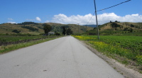 Climbing Higgins-Purisima Rd. (100ft)